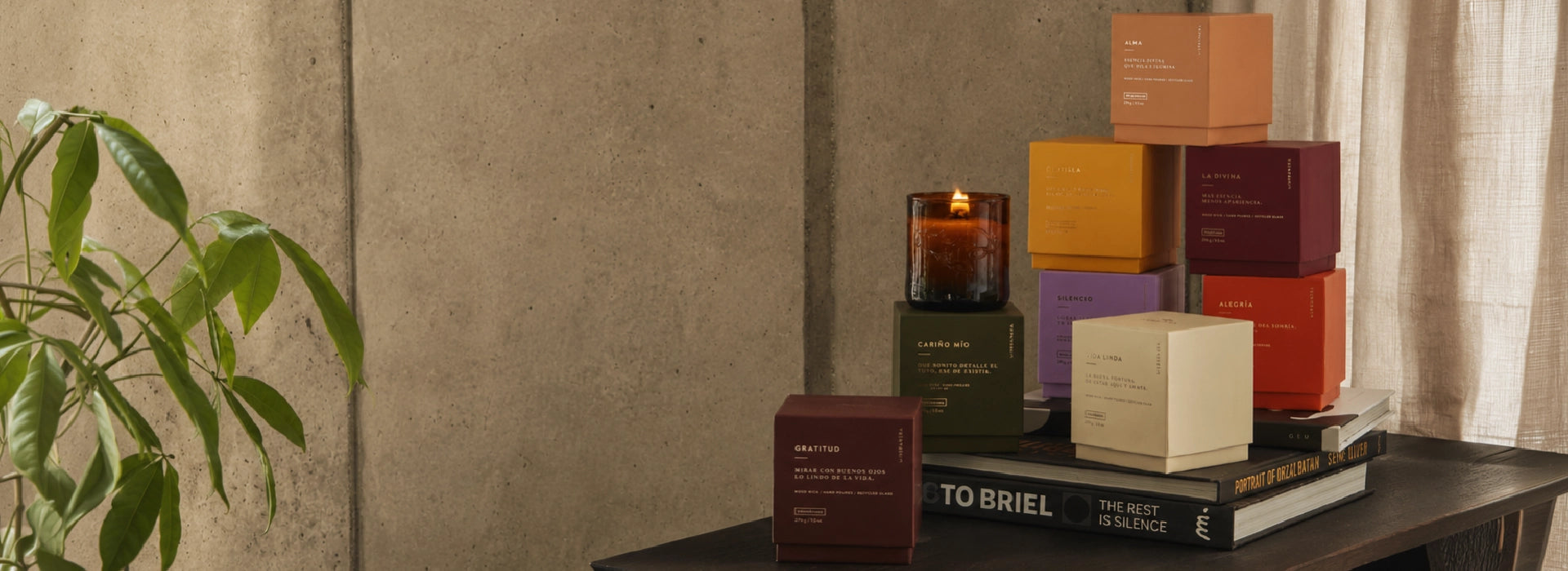 AMORÍO DE AROMAS